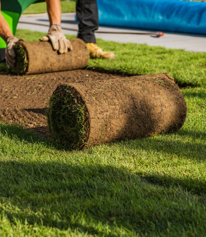 Sod installation 2